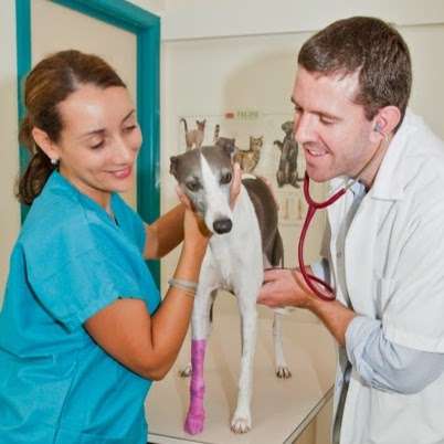 Photo: Cheltenham Veterinary Clinic